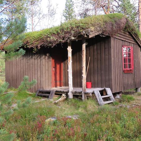 Hov Hyttegrend Viksdalen Bilik gambar