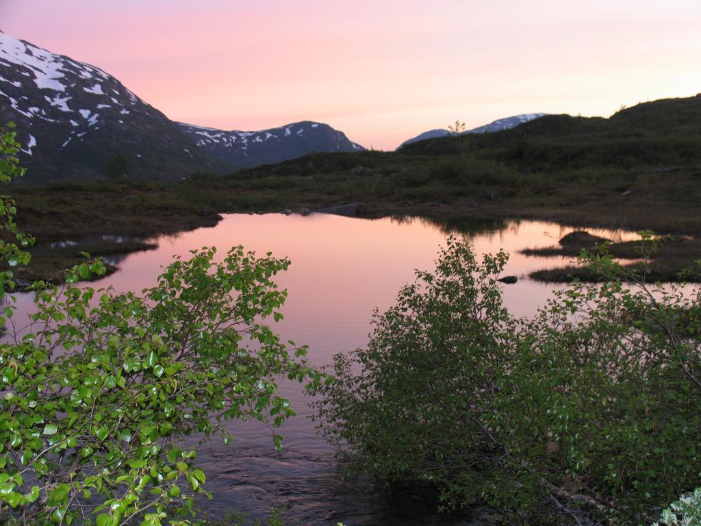 Hov Hyttegrend Viksdalen Luaran gambar